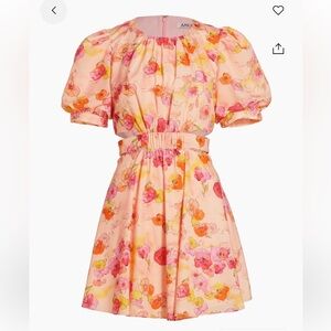 Amur Cole Cut out floral mini dress